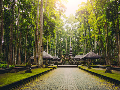 Sacred Monkey Forest Sanctuary